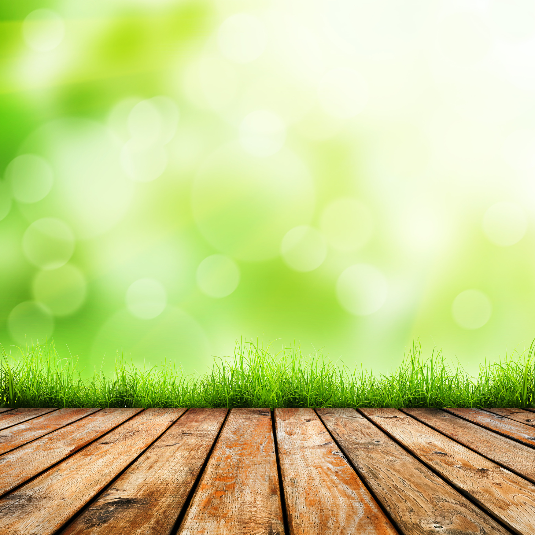 grass